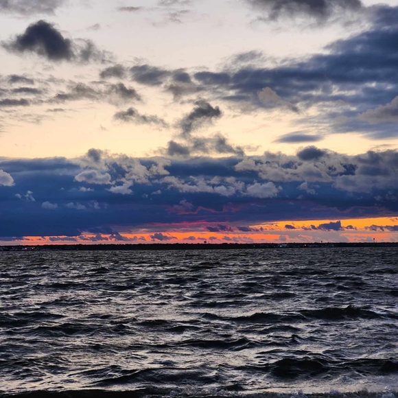 Meet your Posher, Christopher - Picture 3 of 4